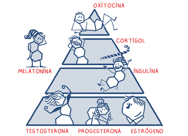 familia hormonetti